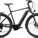 Giant DailyTour E+3 GTS Rosewood