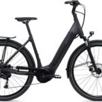 Giant DailyTour E+3 Lady Rosewood