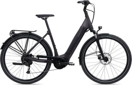 Giant DailyTour E+3 Lady Rosewood