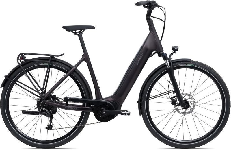 Giant DailyTour E+3 Lady Rosewood Giant DailyTour E+3 Lady Rosewood