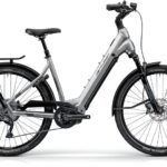 Centurion E-Fire City R960i Plus EP1 Grau