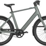Gazelle Cayo 310