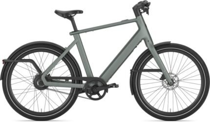 Gazelle Cayo 310
