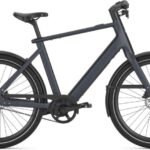 Gazelle Cayo C1